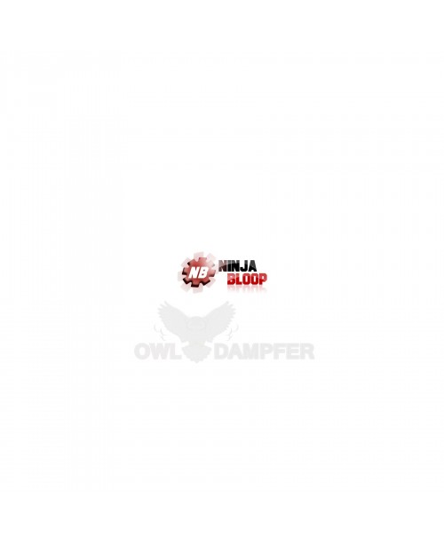 Nuss Karamell Aroma OWL Ninja Bloop 100 ml
